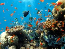 Underwater World Pattaya
